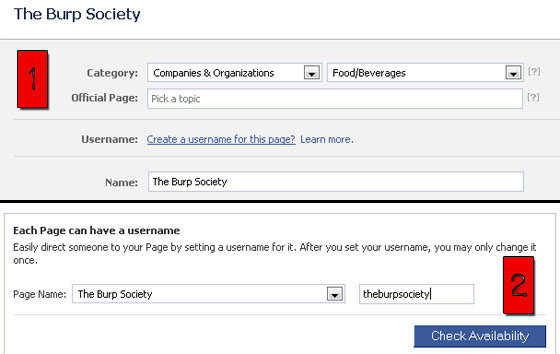 Facebook Updates : As of Last Week of June 2012