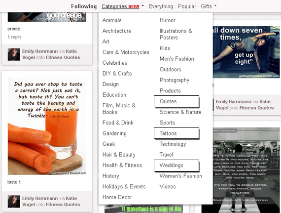 New Pinterest Categories and My Features Wish List
